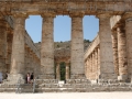 Segesta - Tempel - Saeulen / Segesta - tempio - colonne