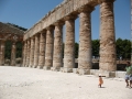 Segesta - Tempel - Innenhof / Segesta - tempio - cortile interno