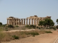 Selinunte - Tempel E von ferne / Selinunte - tempio E da lontano
