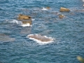 Meerblick mit Steine im Wasser / Mare con sassi
